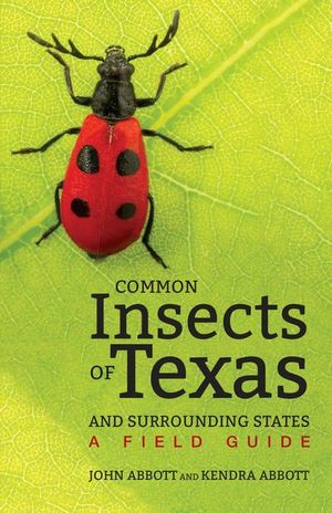 Buy Common Insects of Texas and Surrounding States at Amazon