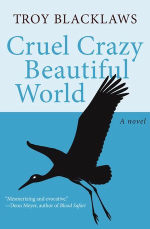 Buy Cruel Crazy Beautiful World at Amazon