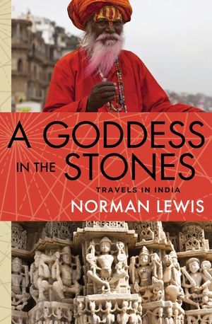 Buy A Goddess in the Stones at Amazon