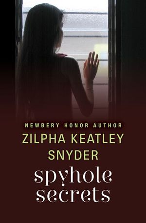 Buy Spyhole Secrets at Amazon