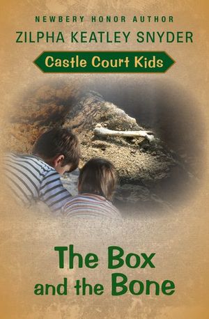 Buy The Box and the Bone at Amazon