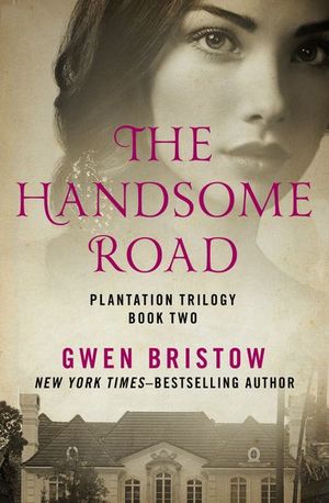 Buy The Handsome Road at Amazon