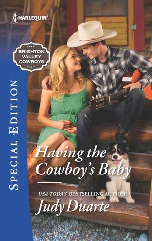 Having the Cowboy's Baby