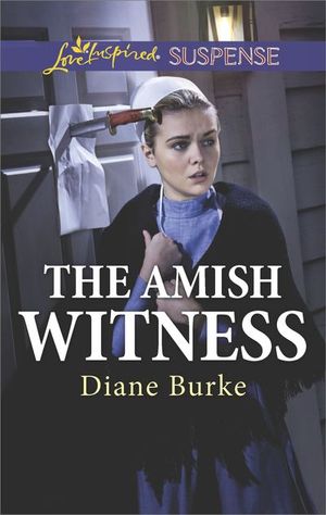 Buy The Amish Witness at Amazon