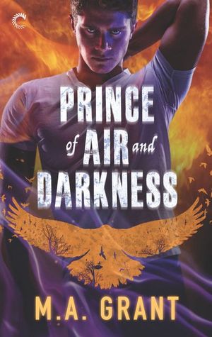Buy Prince of Air and Darkness at Amazon