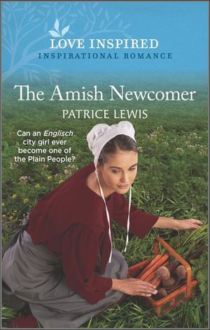 The Amish Newcomer