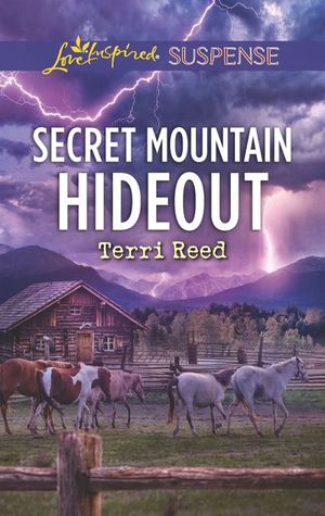 Buy Secret Mountain Hideout at Amazon