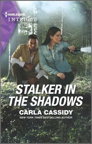 Buy Stalker in the Shadows at Amazon