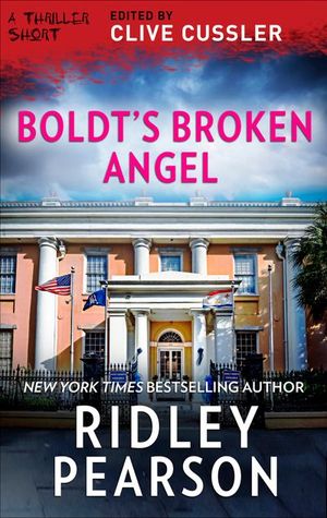 Buy Boldt's Broken Angel at Amazon