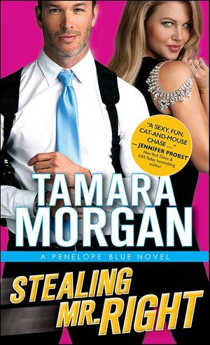 Stealing Mr. Right