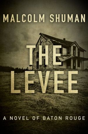 Buy The Levee at Amazon