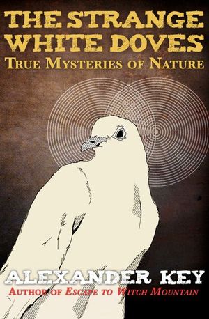 Buy The Strange White Doves at Amazon