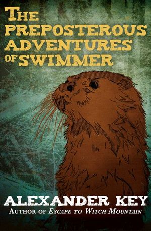 Buy The Preposterous Adventures of Swimmer at Amazon