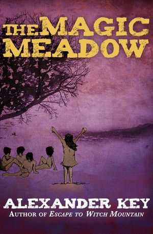 Buy The Magic Meadow at Amazon