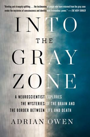 Buy Into the Gray Zone at Amazon