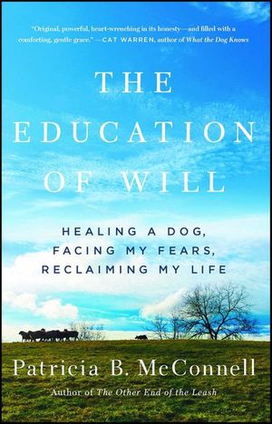 Buy The Education of Will at Amazon
