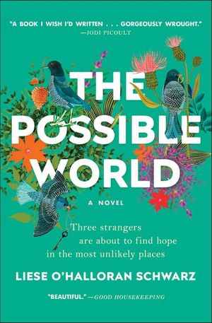 Buy The Possible World at Amazon