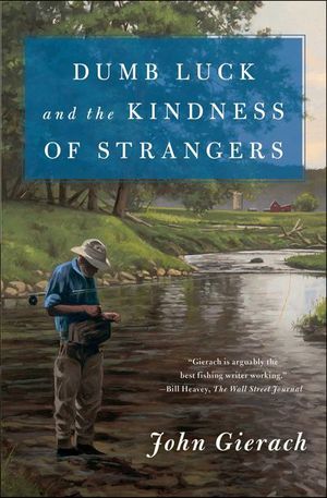 Buy Dumb Luck and the Kindness of Strangers at Amazon