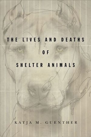 Buy The Lives and Deaths of Shelter Animals at Amazon