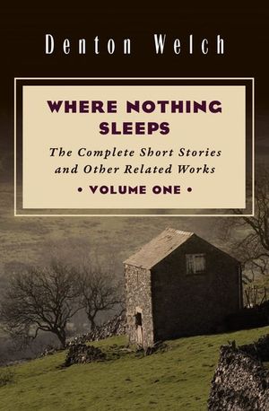 Buy Where Nothing Sleeps Volume One at Amazon