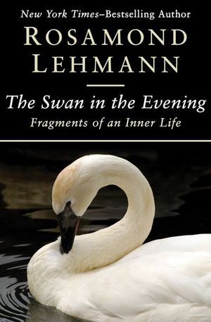 The Swan in the Evening