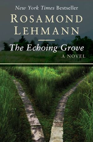 Buy The Echoing Grove at Amazon