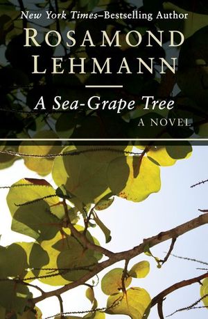 Buy A Sea-Grape Tree at Amazon