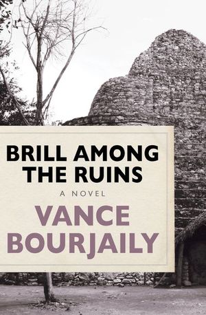 Buy Brill Among the Ruins at Amazon