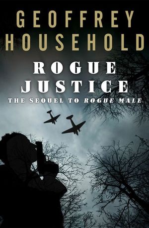 Buy Rogue Justice at Amazon