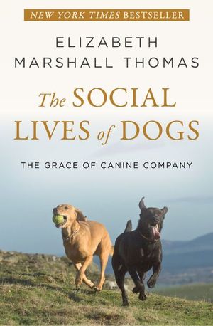 Buy The Social Lives of Dogs at Amazon