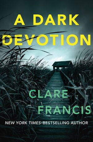 Buy A Dark Devotion at Amazon