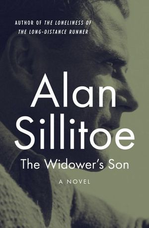 Buy The Widower's Son at Amazon