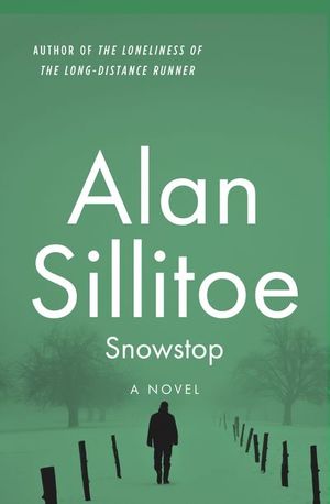 Buy Snowstop at Amazon