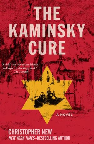 Buy The Kaminsky Cure at Amazon
