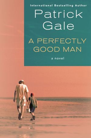 Buy A Perfectly Good Man at Amazon
