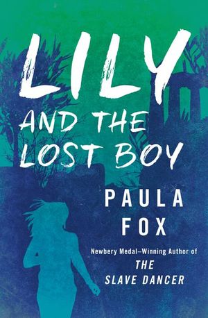 Buy Lily and the Lost Boy at Amazon