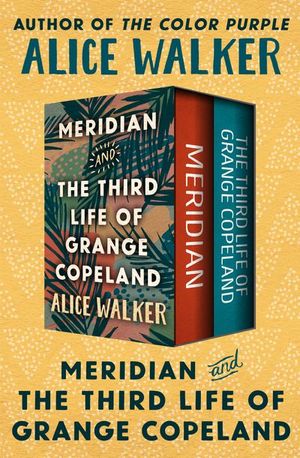 Buy Meridian and The Third Life of Grange Copeland at Amazon