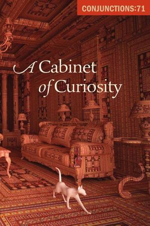 Buy A Cabinet of Curiosity at Amazon