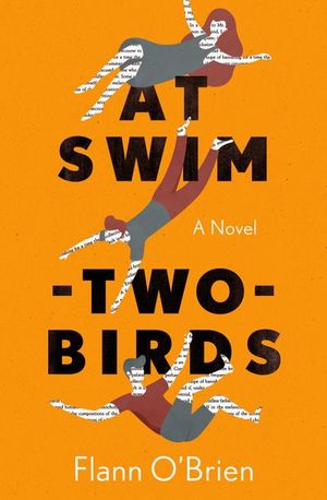 Buy At Swim-Two-Birds at Amazon