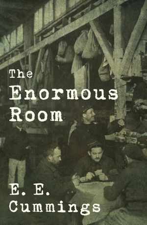 Buy The Enormous Room at Amazon
