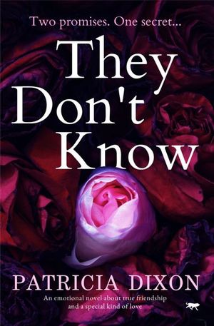 Buy They Don't Know at Amazon