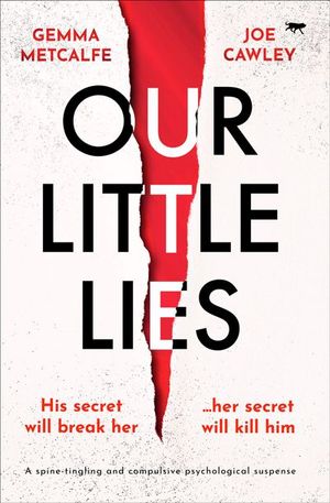 Buy Our Little Lies at Amazon