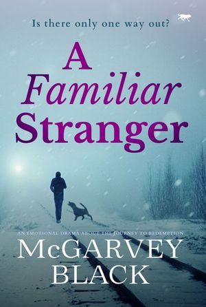 Buy A Familiar Stranger at Amazon