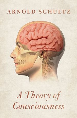A Theory of Consciousness