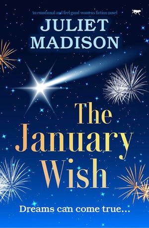 Buy The January Wish at Amazon
