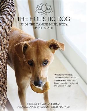 Buy The Holistic Dog at Amazon