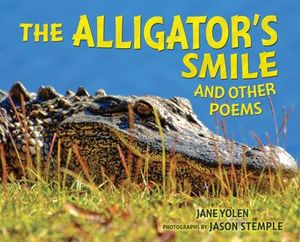 Buy The Alligator's Smile at Amazon