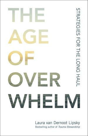 Buy The Age of Overwhelm at Amazon