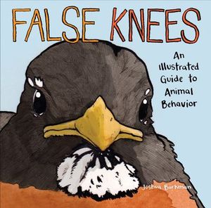 Buy False Knees at Amazon