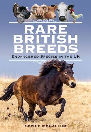 Buy Rare British Breeds at Amazon